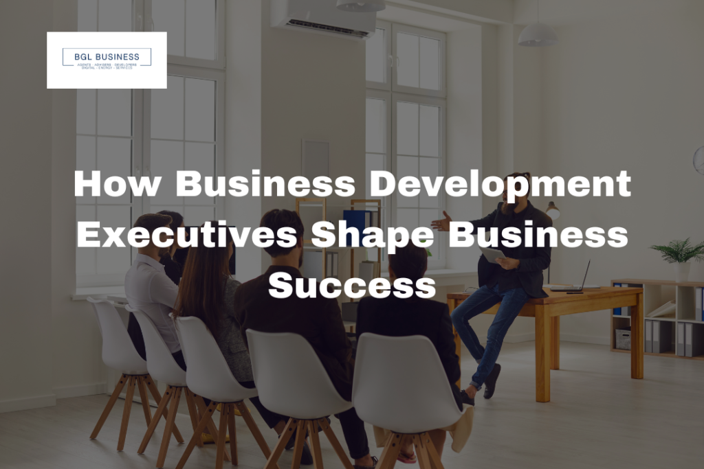 How Business Development Executives Shape Business Success