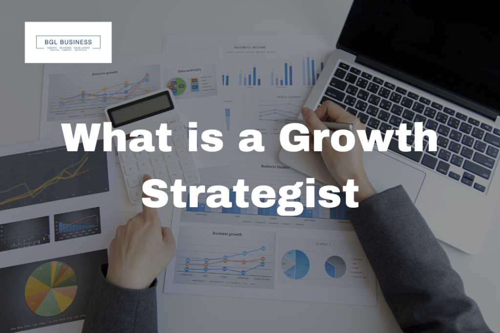 What Is a Growth Strategist? | Understanding the Role of a Business Development Strategist
